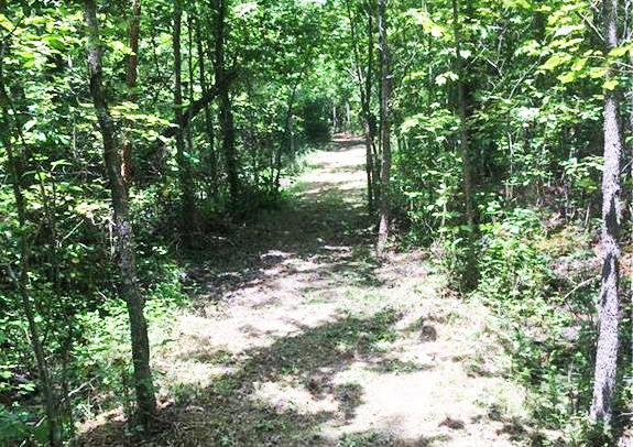 Trail on property located at 17.2ac Comans Well Road, Stony Creek, VA 23882